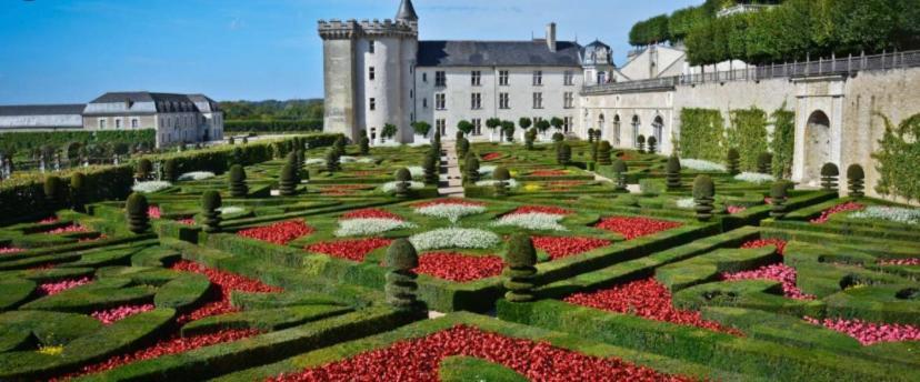 Appartement Le Petit Cocon Tours